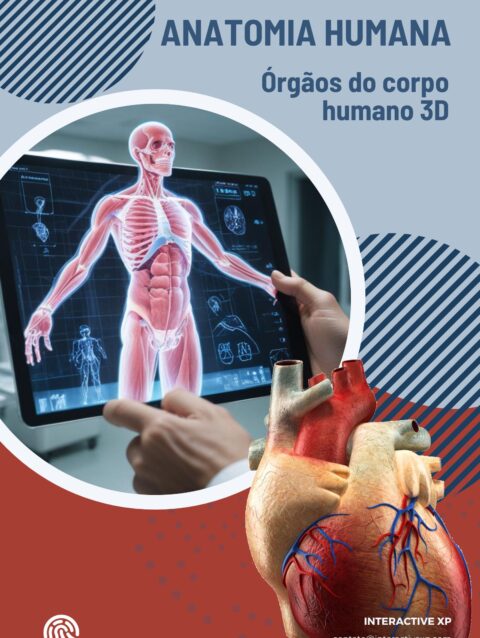 Atlas de Anatomia Humana